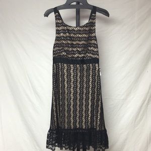 Molly of NY  black lace nude dress size 8 NWT